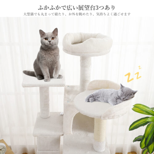 Beraxy キャットタワー おしゃれ 158cm スリム 据え置き 省スペース 多頭飼い 抗菌防臭加工 爪とぎ 猫タワー 安定 猫用品 - 画像 (5)