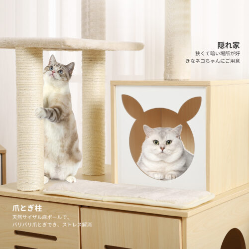 Beraxy キャットタワー 据え置き スリム 木製 省スペース 157cm トイレ カバー 隠れ 大型猫 キャットハウス 猫用品 家具 多頭飼い 猫砂飛散防止 - 画像 (8)